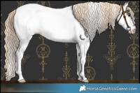Horse Color:Chocolate Palomino Roan Near Fewspot