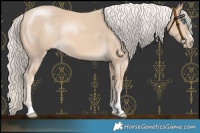 Horse Color:Cremello Rabicano 