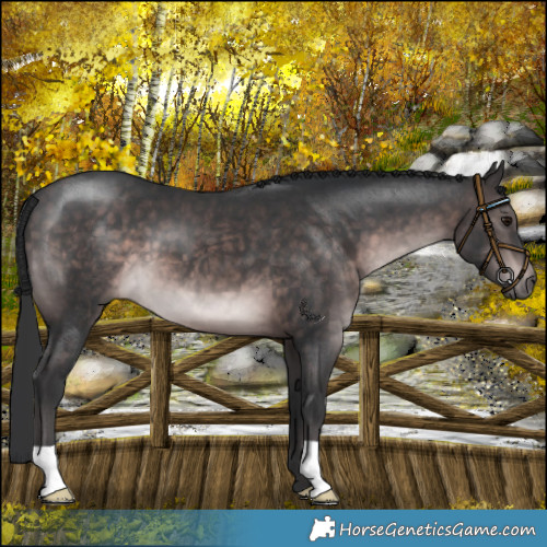 Horse Color:Platinum Brown Mushroom 
