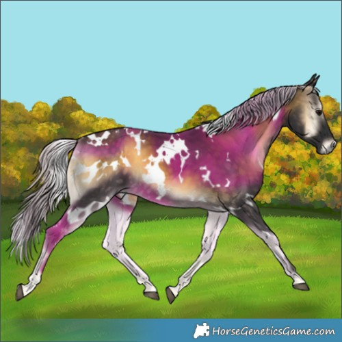 Horse Color:White Spotted Silver Buckskin Onyx 
