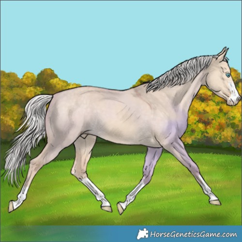 Horse Color:Silver Perlino Dun 
