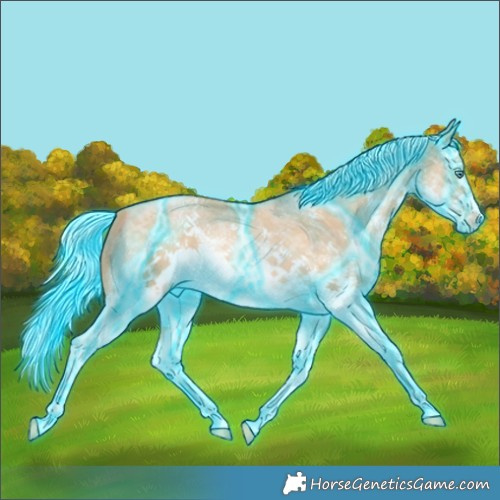Horse Color:Thunderstruck White Spotted Silver Buckskin Pearl Sabino Splash 