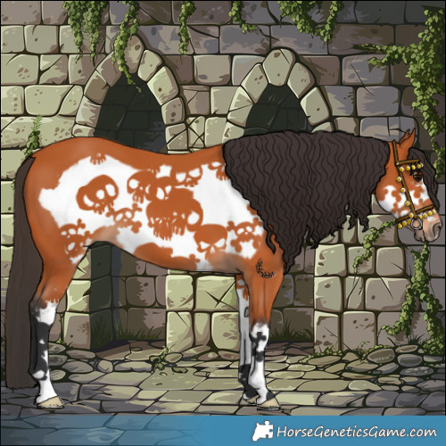Horse Color:Bay Sabino Frame 