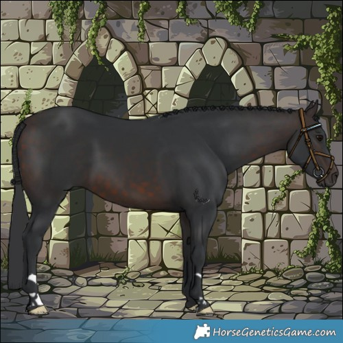Horse Color:Brown 