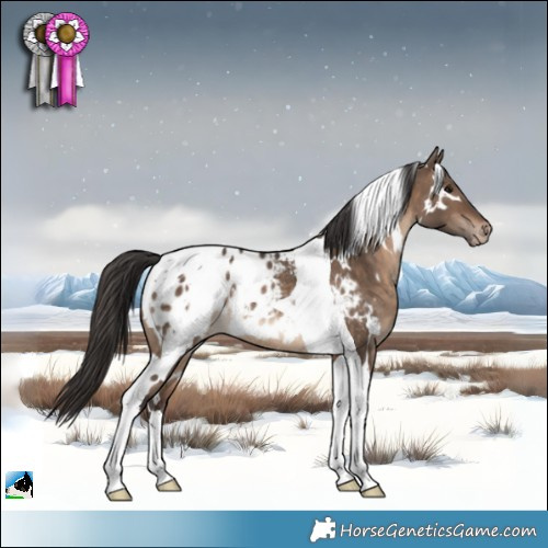 Horse Color:White Spotted Brown Dun Tobiano Appaloosa Rabicano 