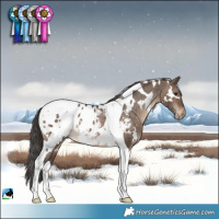 Horse Color:White Spotted Brown Dun Tobiano Blanket Rabicano