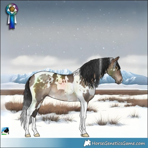 Horse Color:White Spotted Brown Dun Tobiano Rabicano 