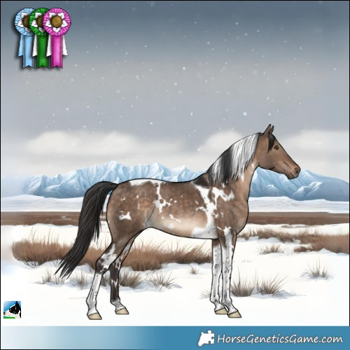Horse Color:White Spotted Brown Dun Tobiano Rabicano 