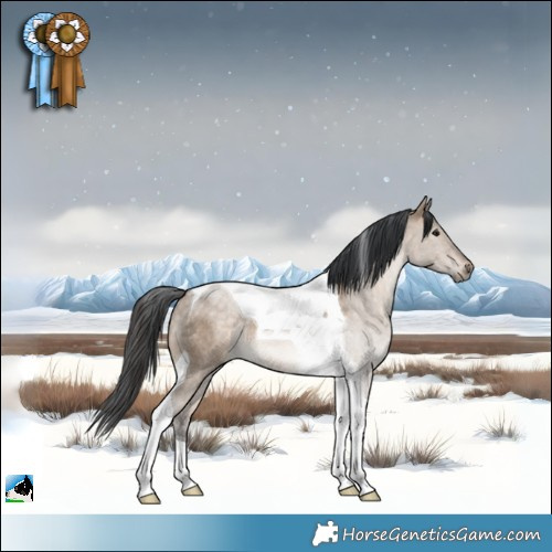 Horse Color:Bay Dun Tobiano Rabicano