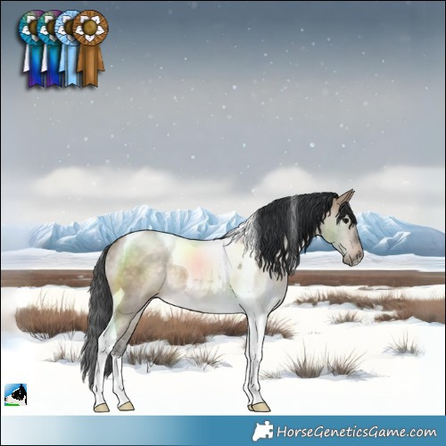 Horse Color:Bay Dun Tobiano Rabicano 