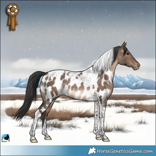 Horse Color:Bay Dun Tobiano Appaloosa Rabicano 