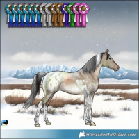 Horse Color:Brown Dun Tobiano Blanket Rabicano