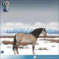 Horse Color:Liver Red Dun Tobiano