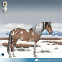 Horse Color:White Spotted Liver Red Dun Tobiano 