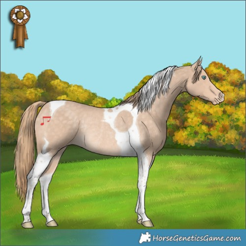 Horse Color:Perlino Tobiano Varnish Rabicano 