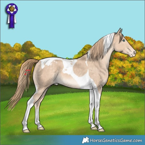 Horse Color:Perlino Tobiano Varnish 