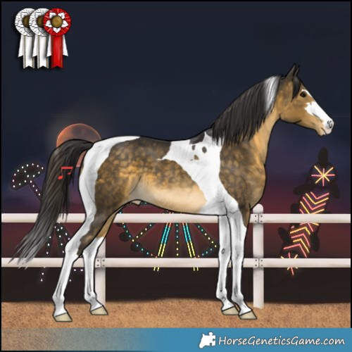 Horse Color:Buckskin Tobiano Varnish 
