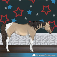 Horse Color:Buckskin Dun Tobiano