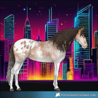 Horse Color:White Spotted Bay Blanket 