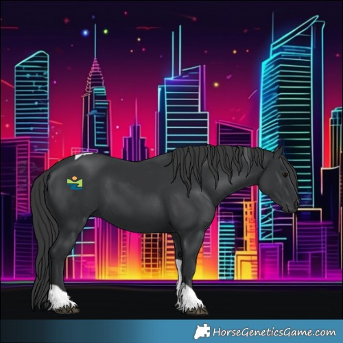 Horse Color:Black Tobiano 