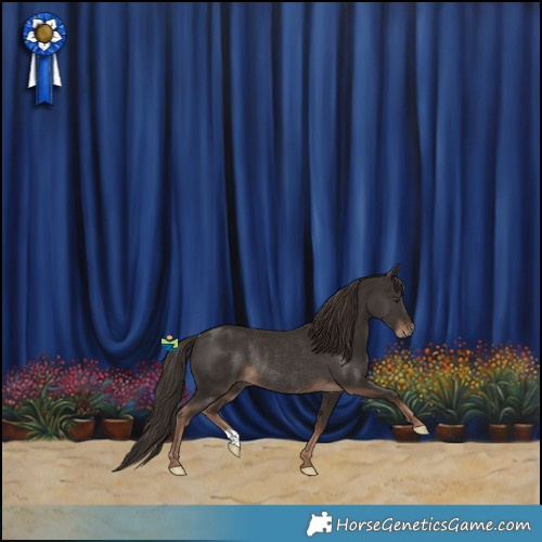 Horse Color:Liver Chestnut Rabicano 
