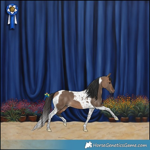 Horse Color:Bay Dun Tobiano 