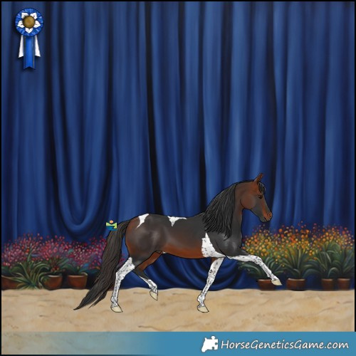 Horse Color:Bay Tobiano 