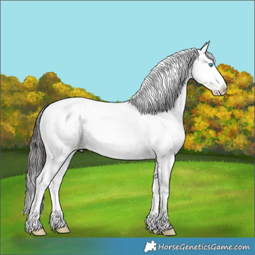 Horse Color:Brown Roan Dun Splash 