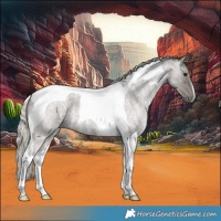 Horse Color:Silver Smoky Blue Ice Roan Tobiano