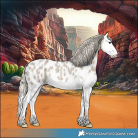 Horse Color:Silver Smoky Grullo Roan Splash Near Leopard