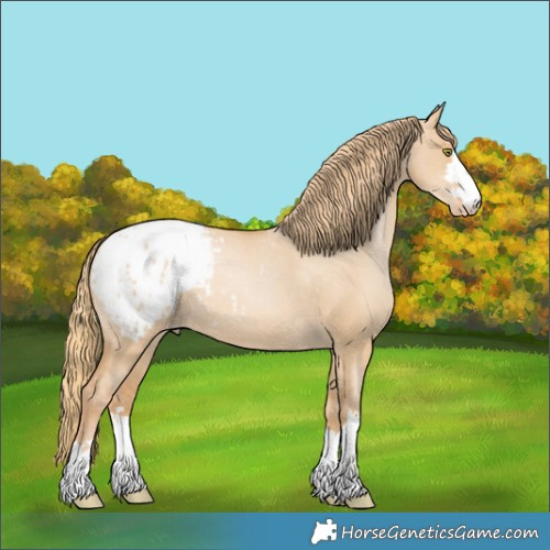 Horse Color:Red Dun Pearl Blanket 