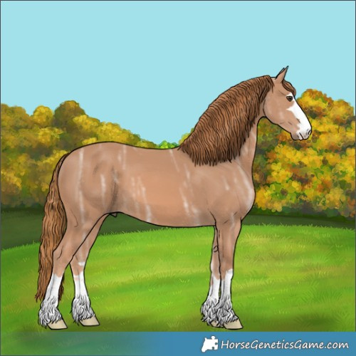 Horse Color:Chestnut Ice 