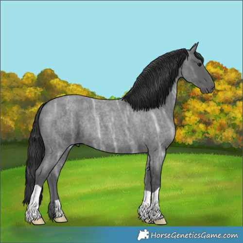 Horse Color:Blue Ice Roan 