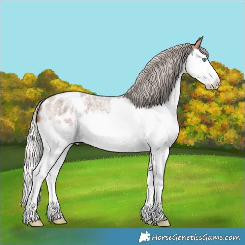 Horse Color:Silver Brown Roan Splash Blanket 