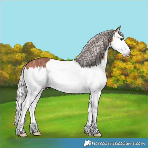 Horse Color:Silver Bay Ice Splash 