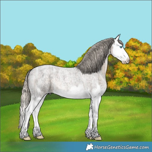 Horse Color:Silver Smoky Blue Ice Roan Splash 