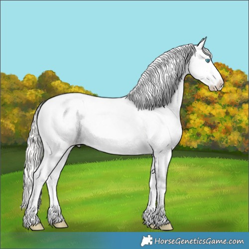 Horse Color:Silver Buckskin Ice Roan Pearl Splash Snowcap 