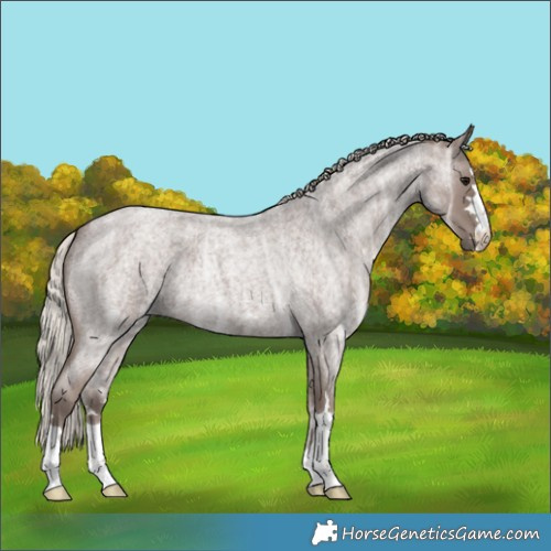 Horse Color:Silver Blue Ice Roan 