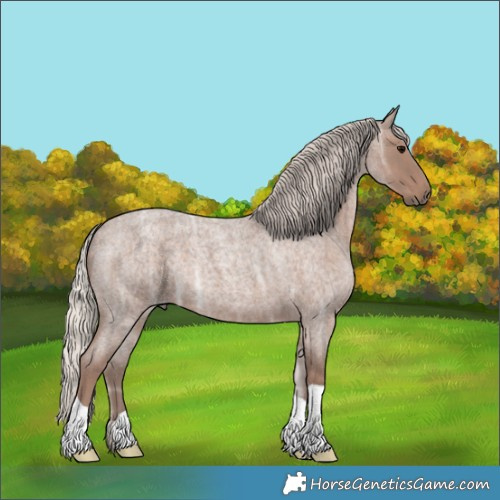 Horse Color:Silver Blue Ice Roan 