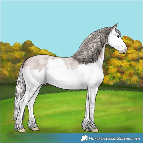 Horse Color:Silver Brown Roan Splash 