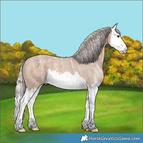 Horse Color:Silver Brown Ice Roan Dun Splash 