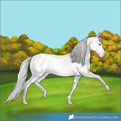 Horse Color:Silver Buckskin Roan Pearl Splash 