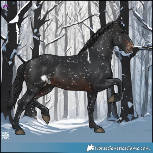 Horse Color:Brown Skewed LP Spotted 