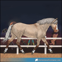 Horse Color:Silver Brown Dun Varnish 