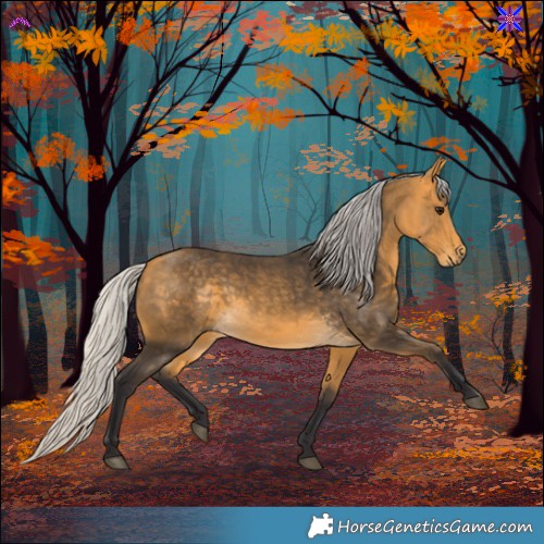 Horse Color:Silver Buckskin 