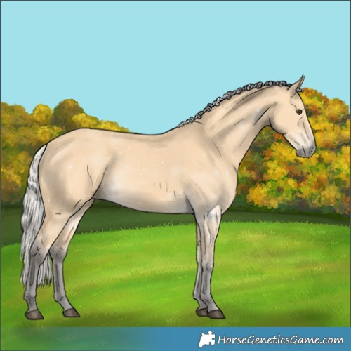 Horse Color:Silver Buckskin 