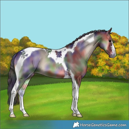 Horse Color:Nacre Blue Onyx Tobiano 