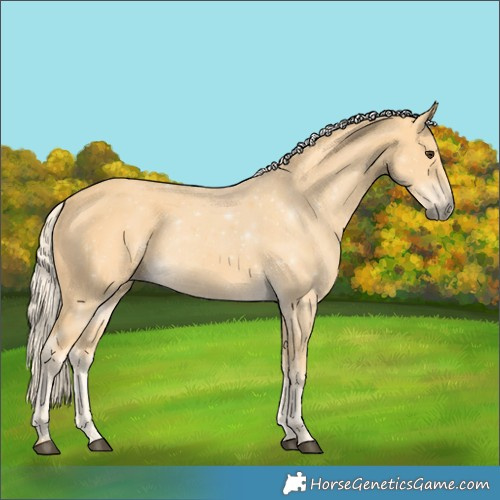 Horse Color:Palomino 