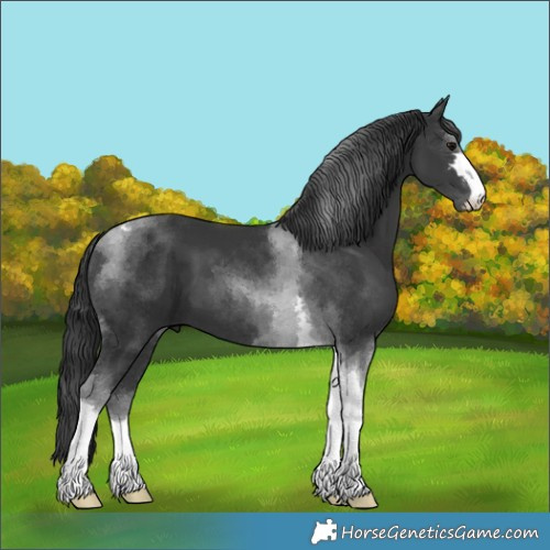 Horse Color:Black Tobiano