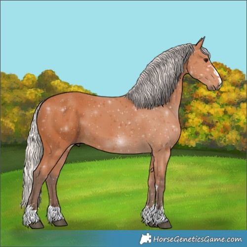 Horse Color:Silver Bay